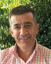 Ilidio